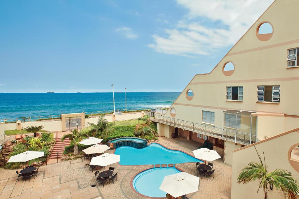 perna_perna_4_top_view